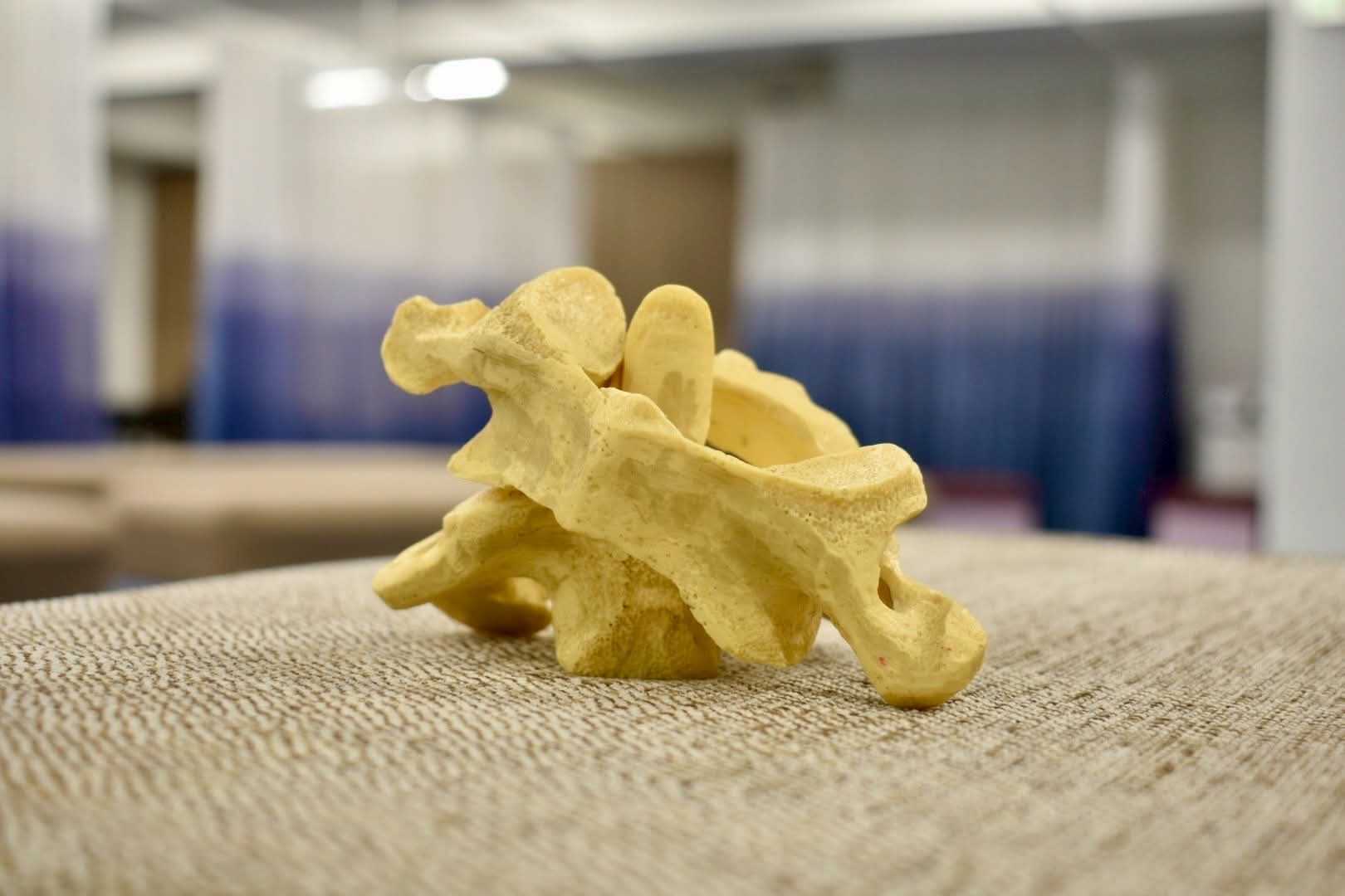 神川カイロプラクティック 施術風景