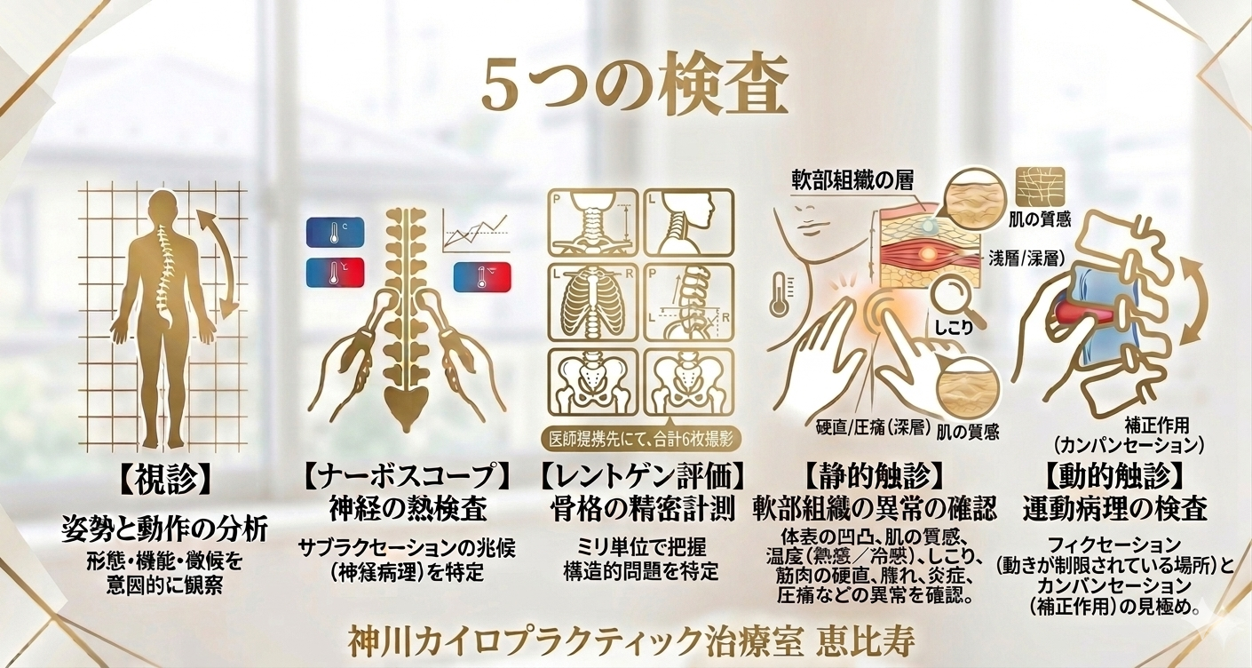 神川カイロプラクティック 検査